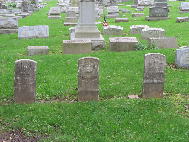 Plant, Cemetery, Green, Headstone