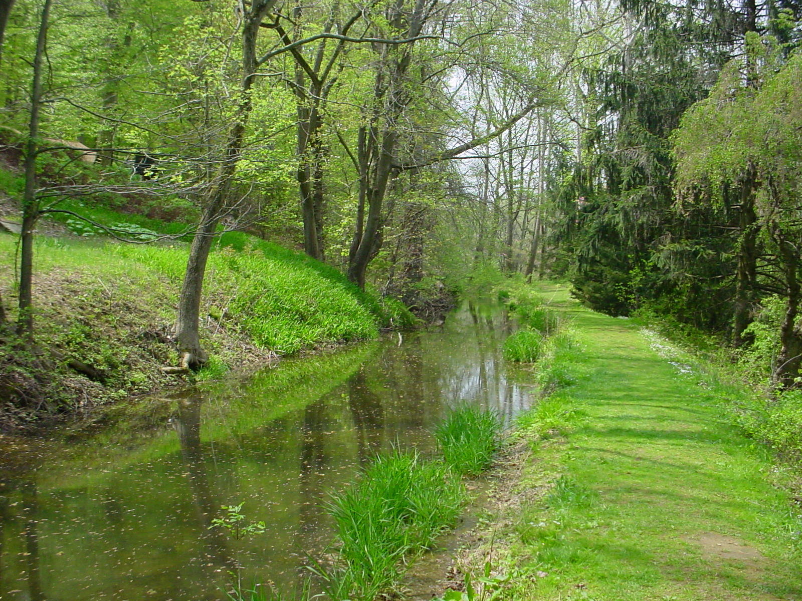 The historic millrace in springtime