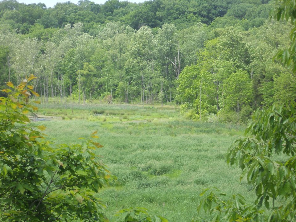 View from the dam