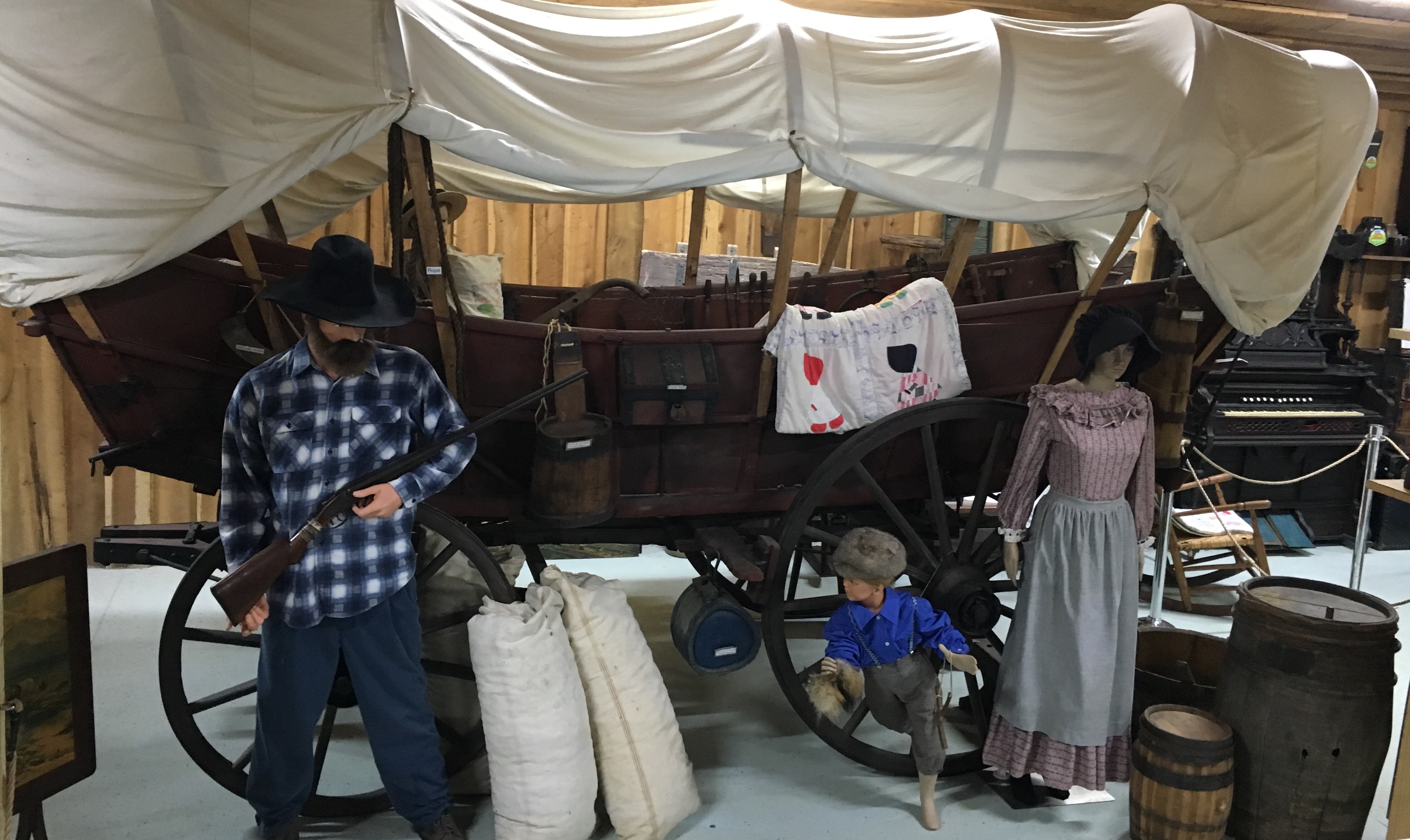 Conestoga wagons are recognizable by their distinct curved shape. They were primarily used in the 1700s and early 1800s for transporting cargo.