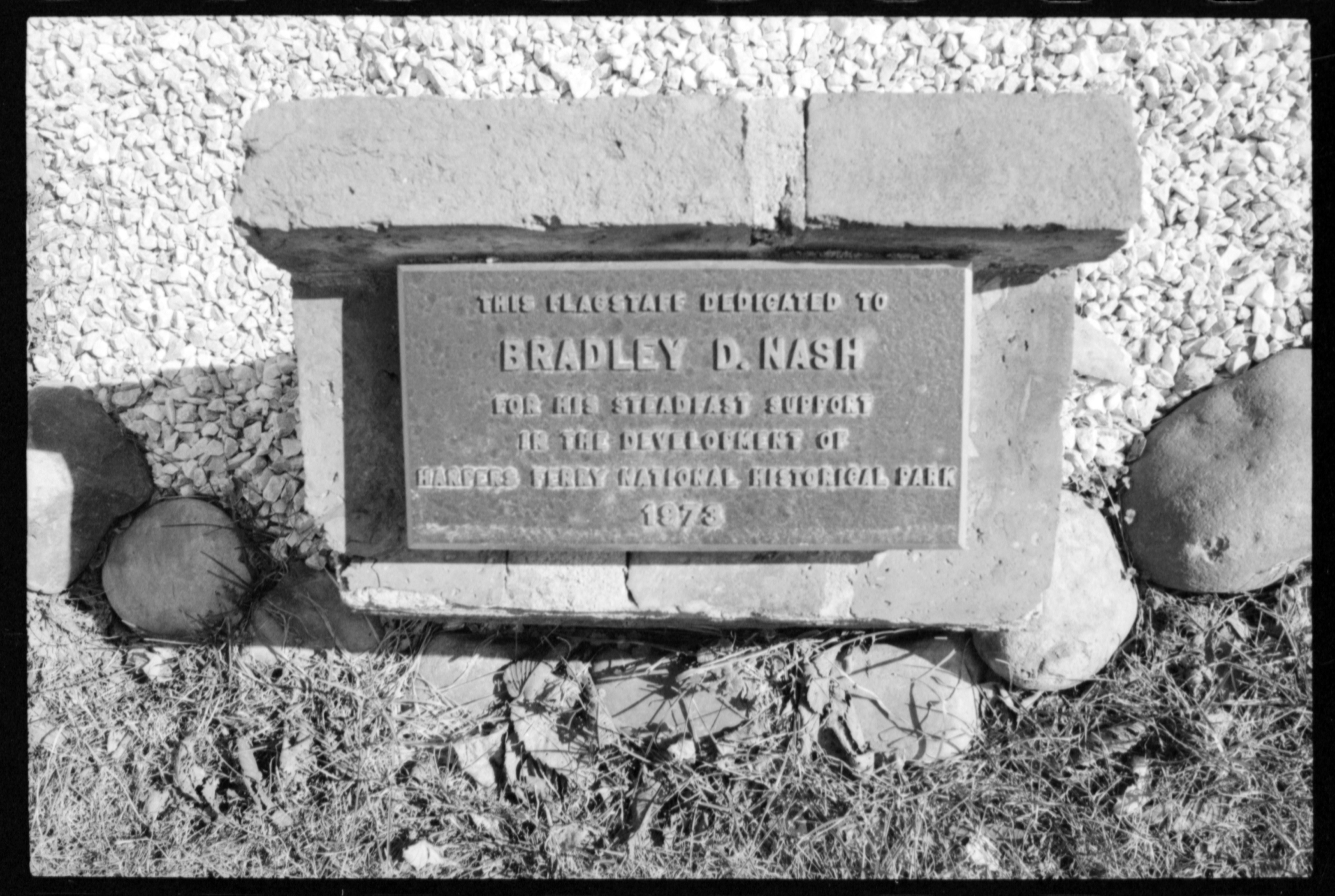Plant, Cemetery, Font, Grass