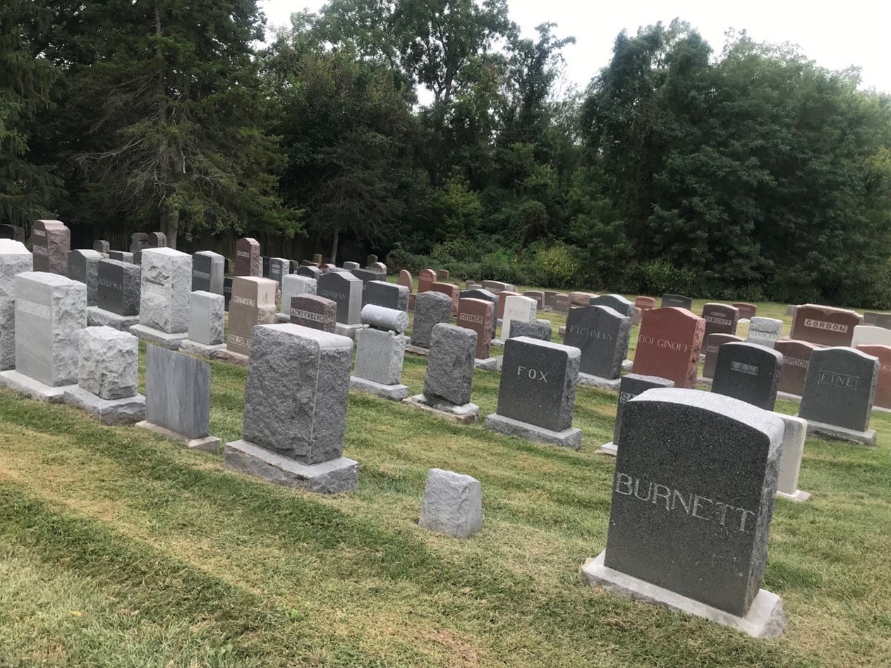 Plant, Cemetery, Tree, Headstone