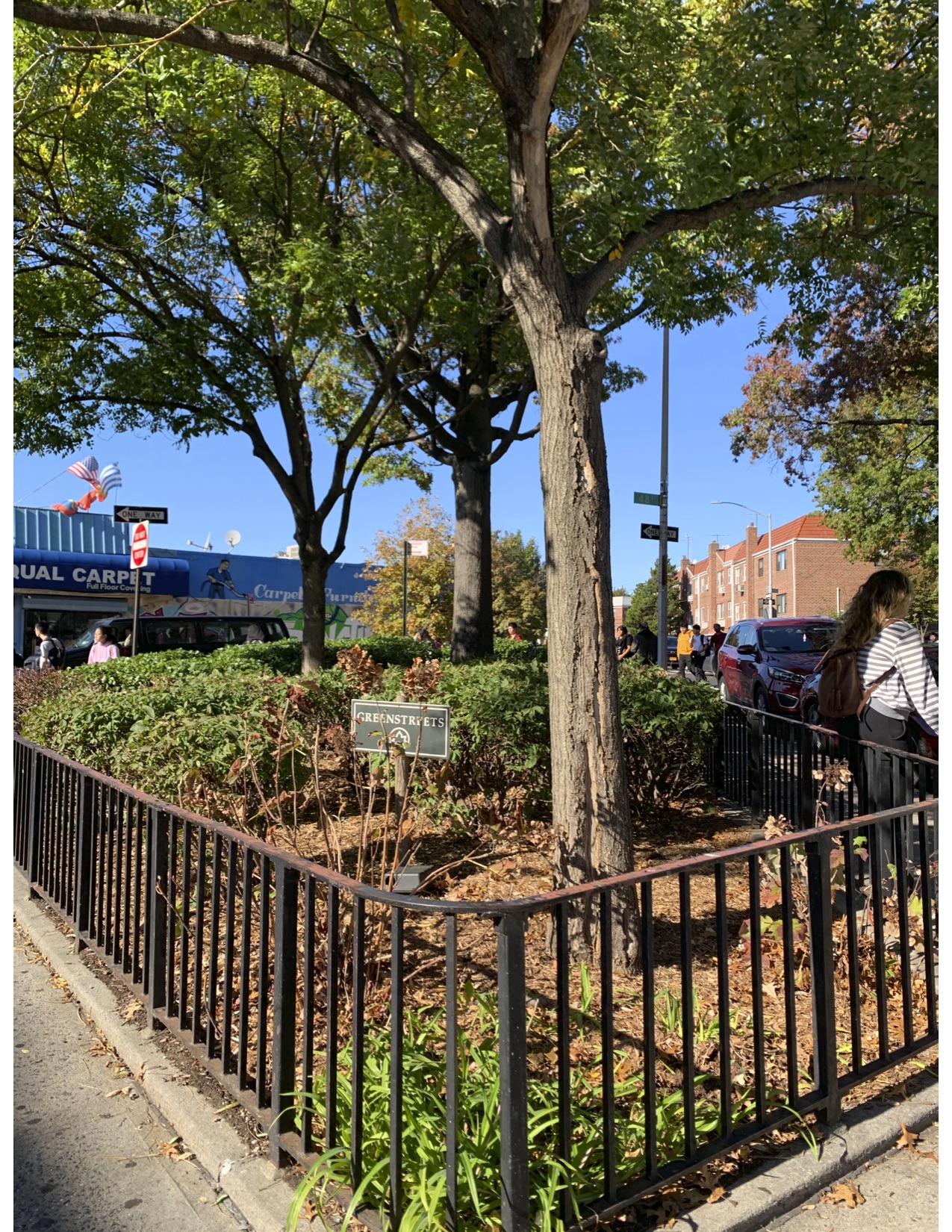 A close up of the park with the sign and a person next to the tree