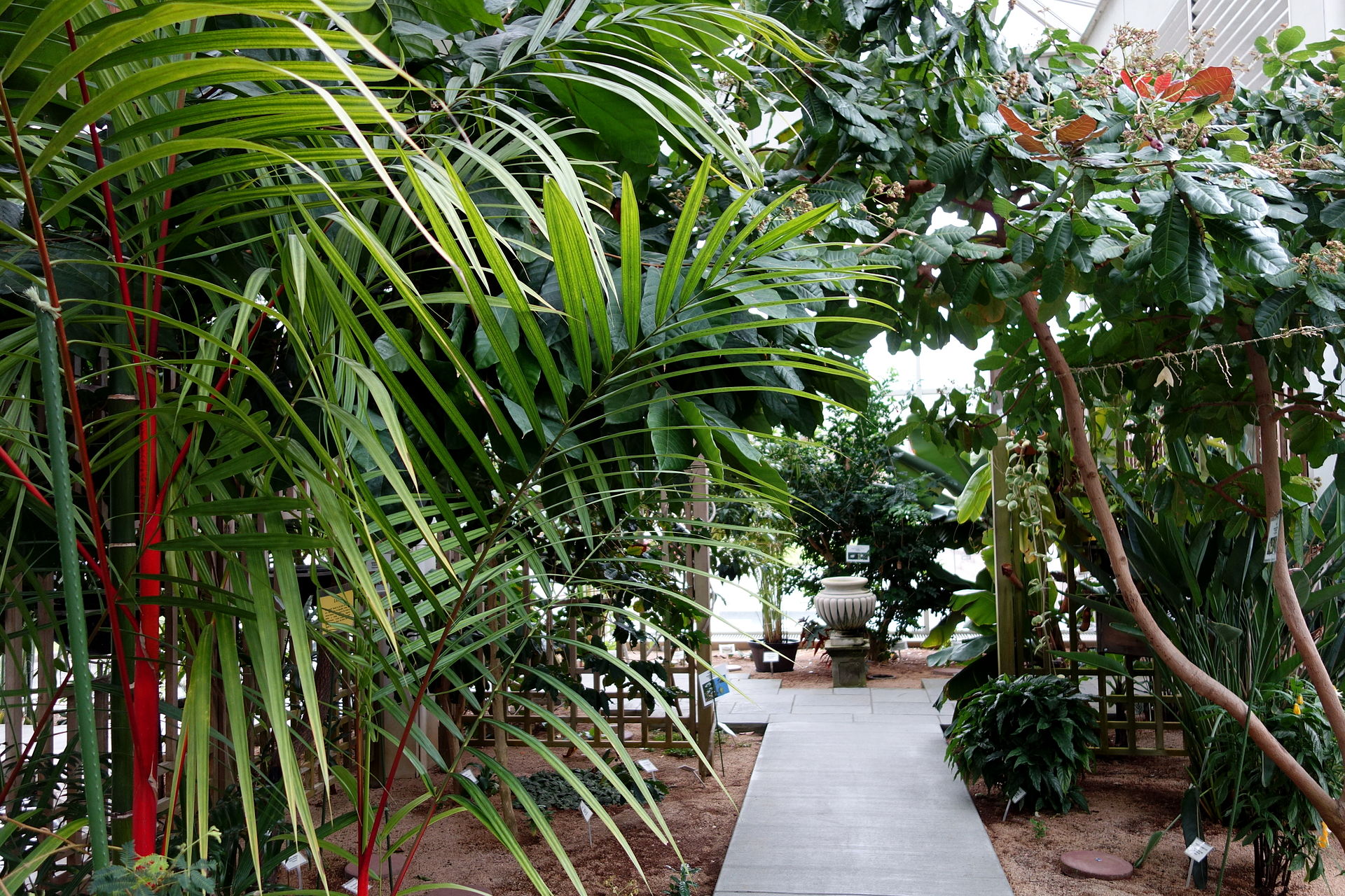 Interior of the conservatory