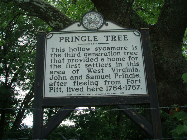 Today a historical marker commeorates the story of the Pringle Tree. Image courtesy of Turner Sharp.