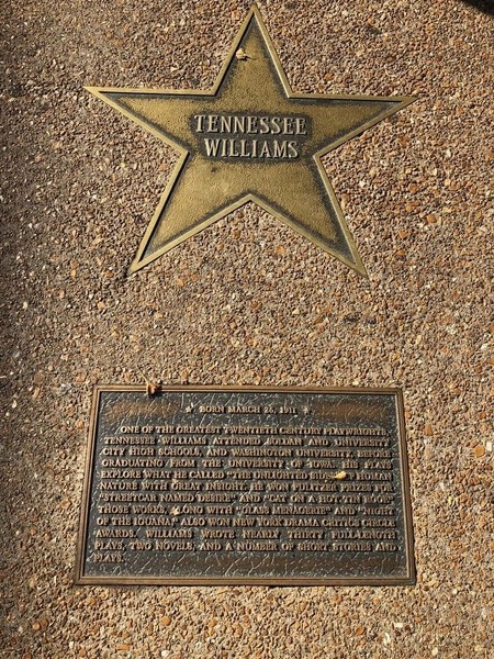 St. Louis Walk of Fame Star - Tennessee Williams - Clio
