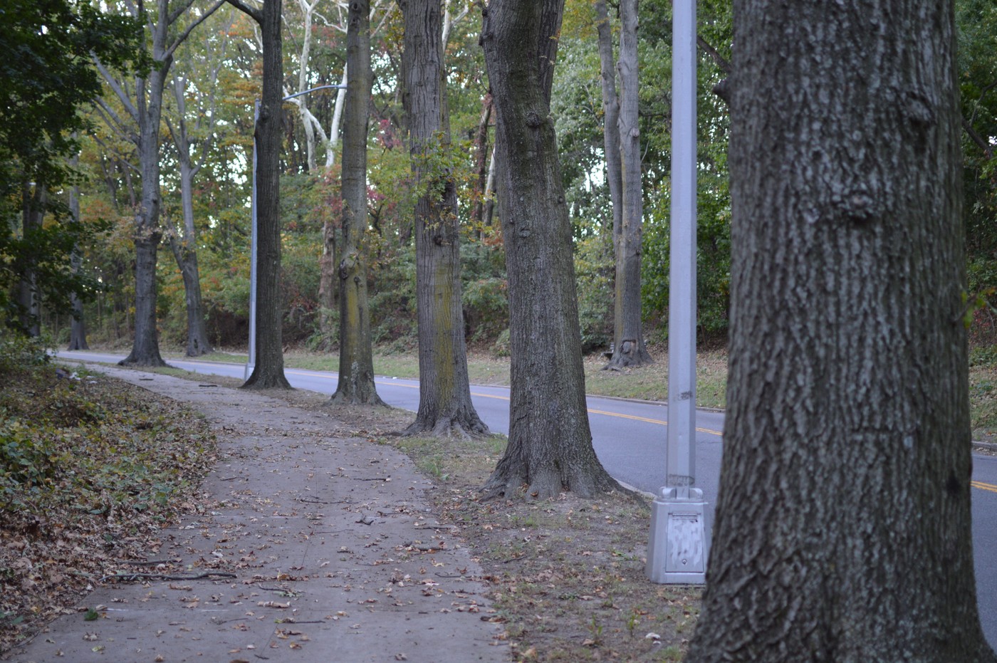 Forest Park Monuments - Richmond Hill War Memorial : NYC Parks