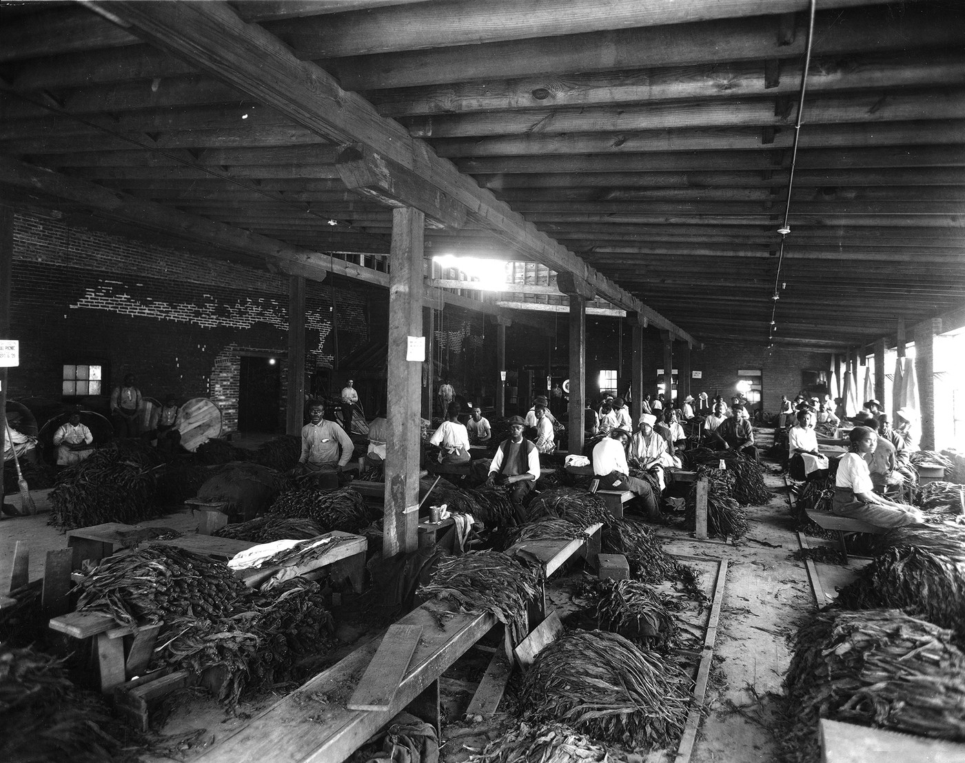 Louisville's Black Laborers of the Campbell Tobacco Company, 1915-1930