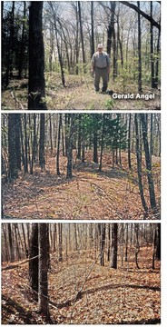 Civil War Fortification at Barnesville photo 1