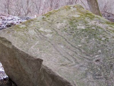 Salt Rock Petroglyphs - Clio