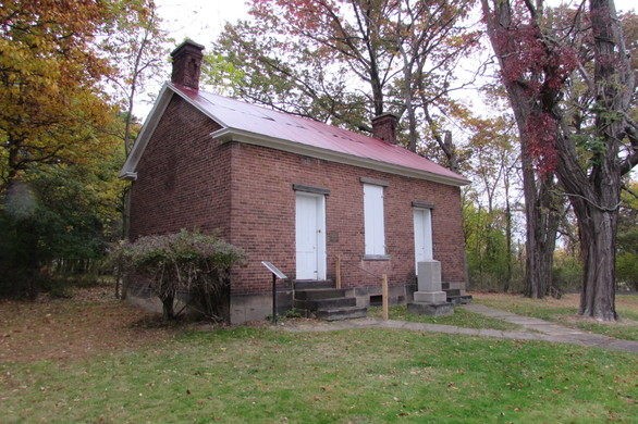 Plant, Property, House, Land lot