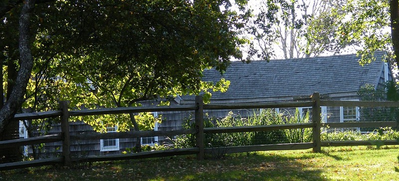 Plant, Shade, Branch, Split-rail fence