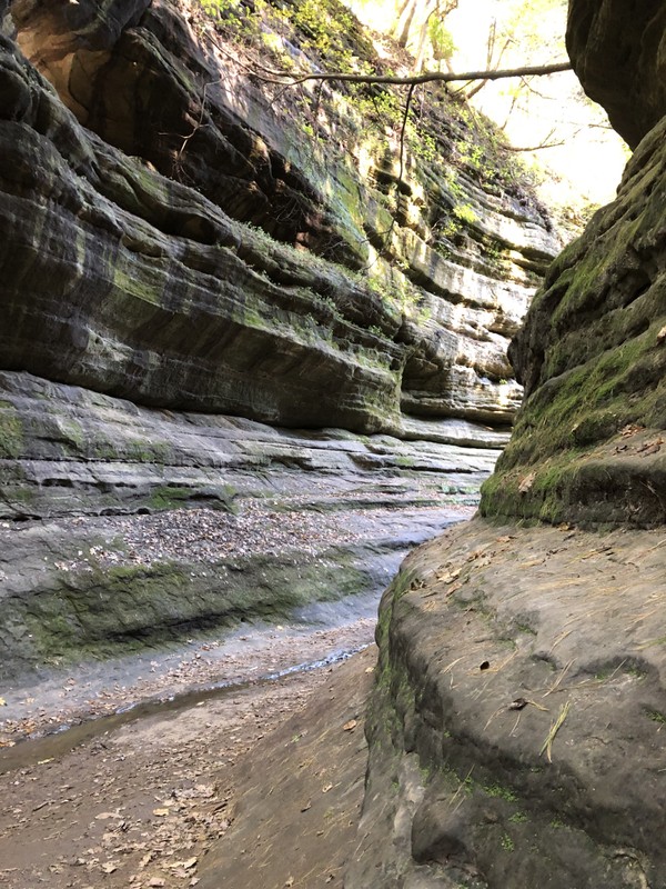 Many canyons have been carved through the sandstone in the park.