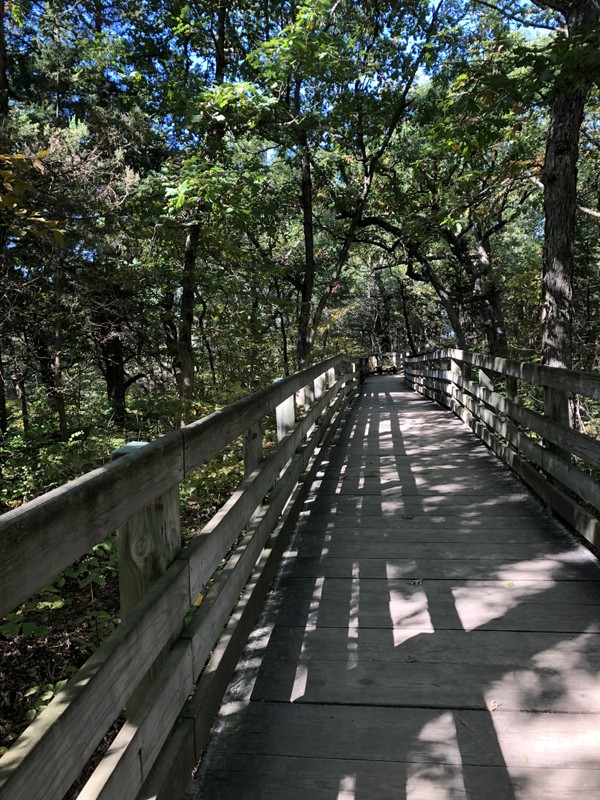 Some of the trails around the park are covered by wooden planks to protect the quickly eroding sandstone in the area. This erosion makes it extremely important for hikers to stay on marked trails to stay safe.