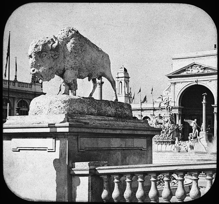 Style, Black-and-white, Bull, Working animal