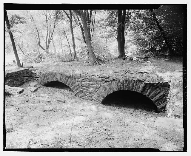 Automotive tire, Nature, Natural landscape, Plant