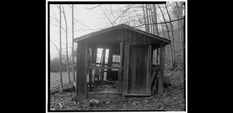 Wood, Tree, Building, Outhouse