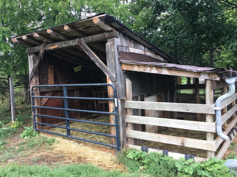 Ewe Barn