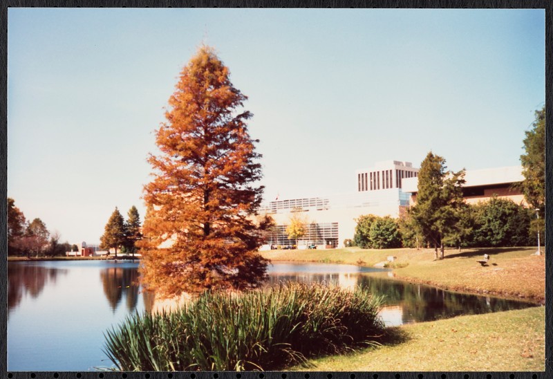 Hechenbleikner Lake with the Rowe Arts Building, Colvard Building, and Atkins Library Tower in background.