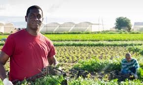 National Black Farmers Association - Clio