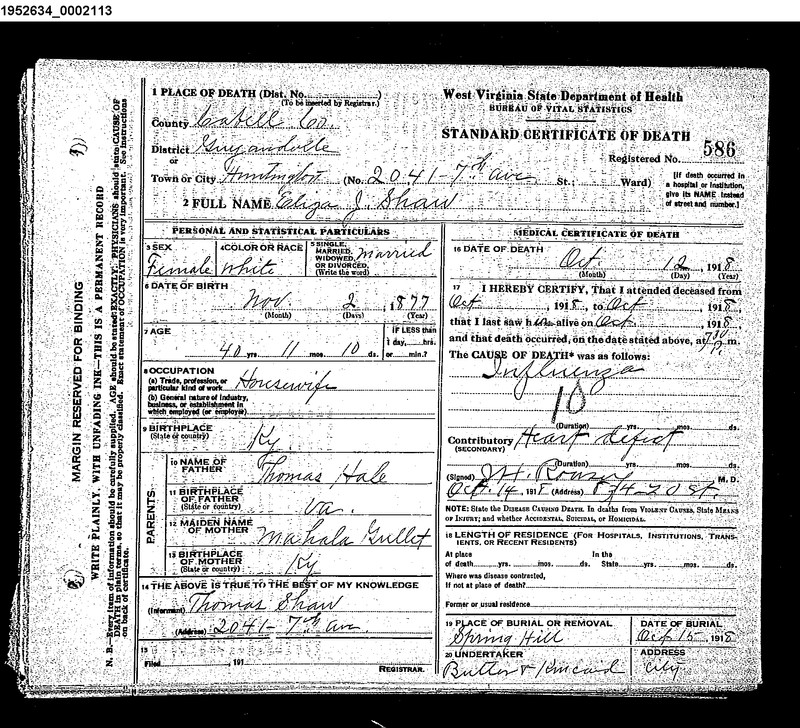 Death Certificate of Eliza Shaw 