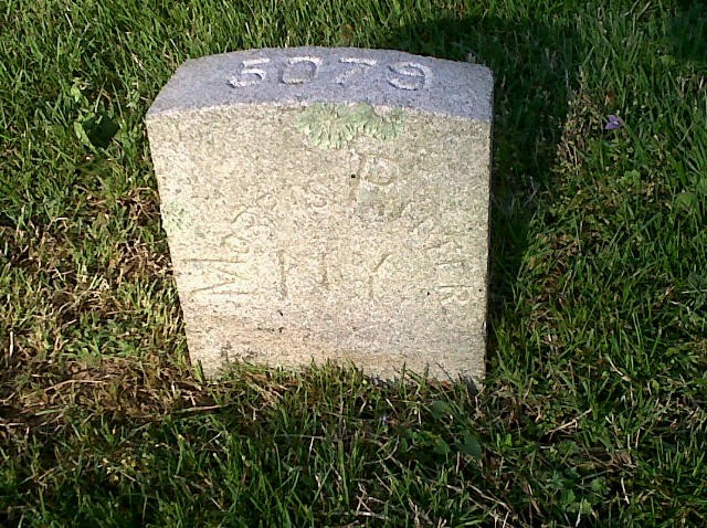 Plant, Cemetery, Grass, Headstone