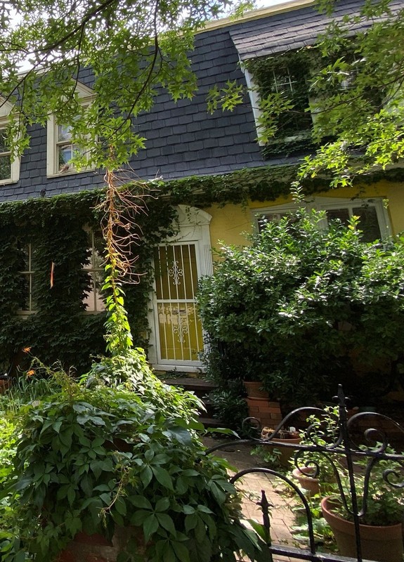 Plant, Building, Property, Window