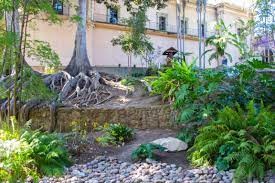 Plant, Building, Window, Tree