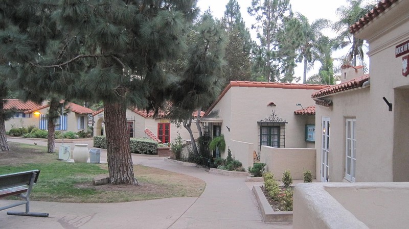 Plant, Building, Window, Tree