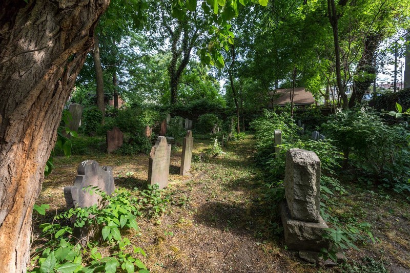 The cemetery