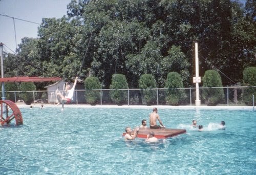 Water, Swimming pool, Tree, Outdoor recreation