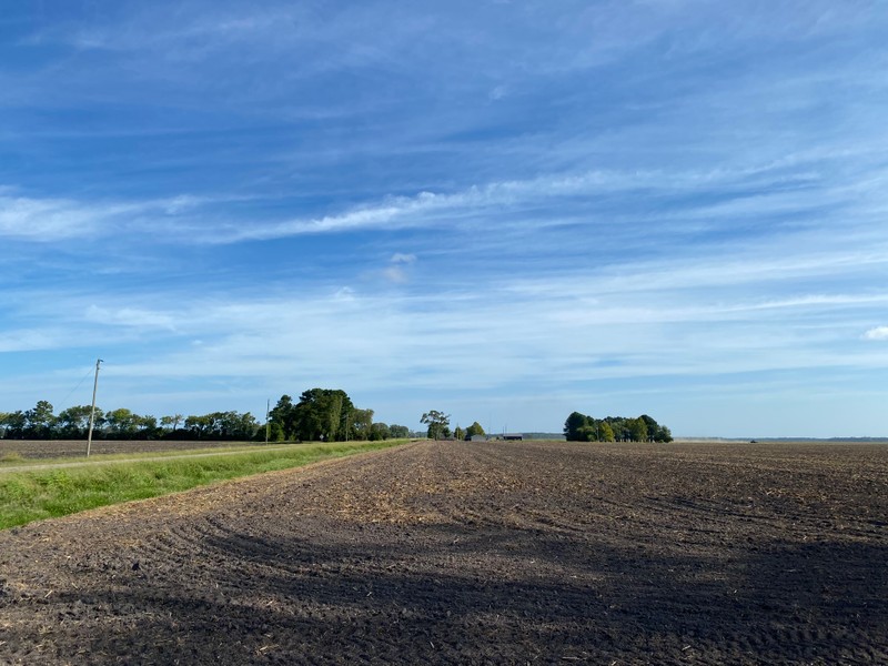 Cloud, Sky, Plant, Natural landscape