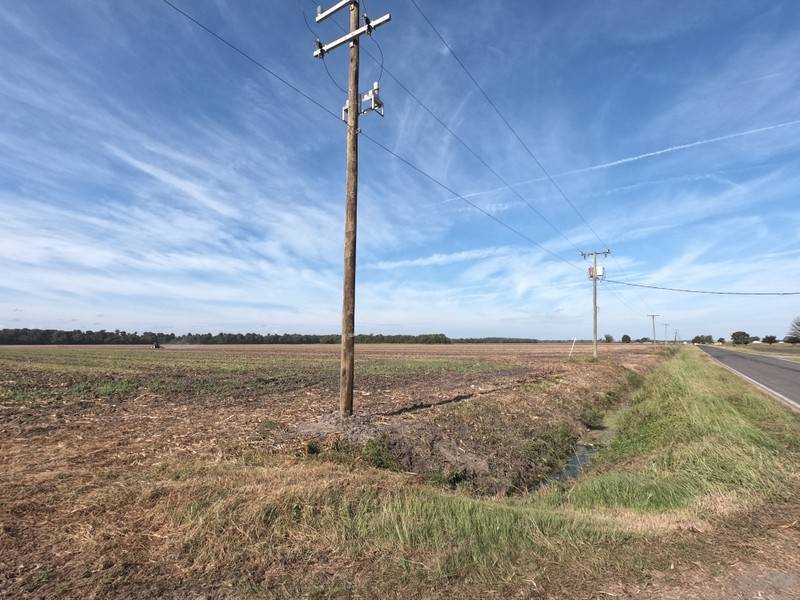 Sky, Cloud, Plant, Overhead power line