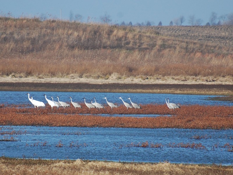 Water, Bird, Sky, Ecoregion