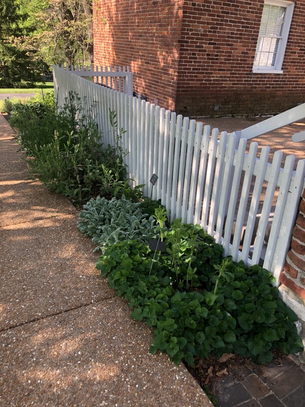 Herb garden