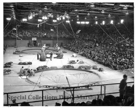 Polack Bros Circus at Memorial Field House in 1954