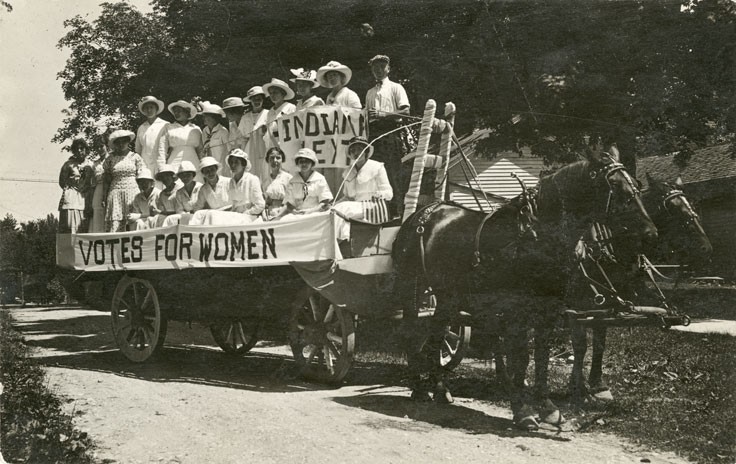 Horse, Wheel, Vehicle, Tire