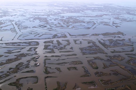 Canals cut through Louisiana's Coast