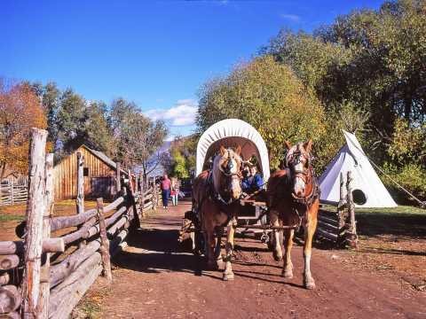 Horse-drawn Carriage