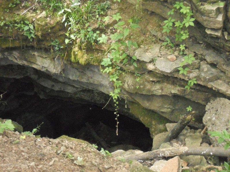 Cave at Leonard Springs