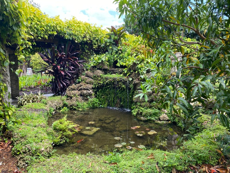 Plant, Plant community, Water, Sky