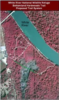 Image of the White River