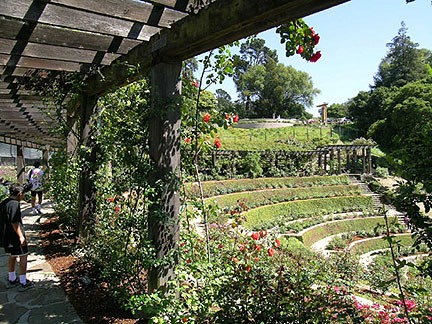 Berkeley Municipal Rose Garden (2004)