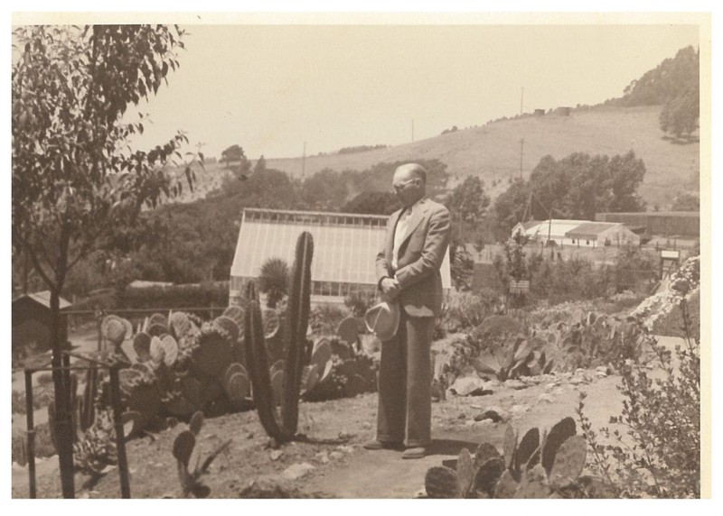 Botanical Garden Curator, Thomas Goodspeed, in the Deserts of the Americas garden at the UC Botanical Garden at Berkeley (c. 1930s)