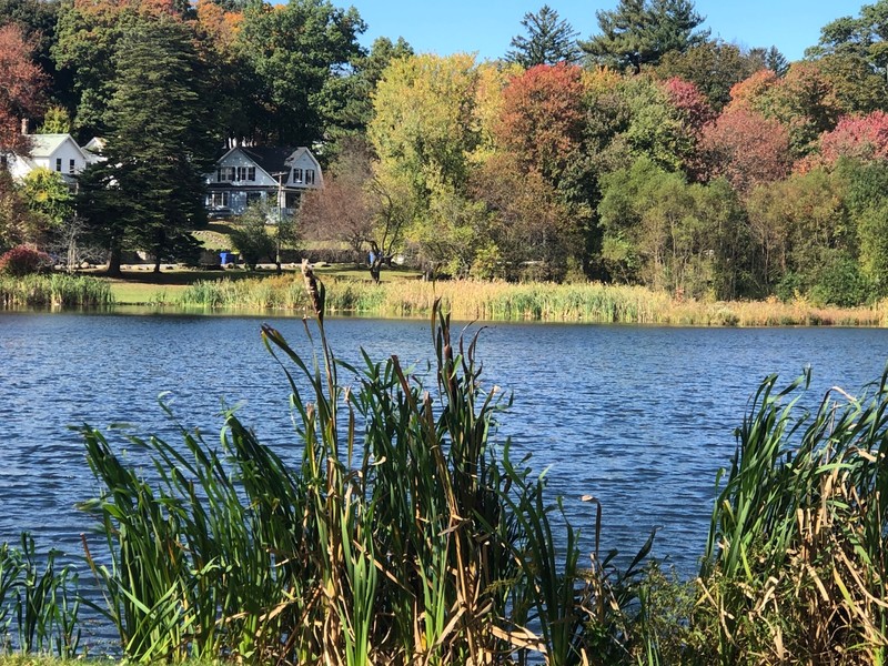 The view across the pond towards Cooke Street.  