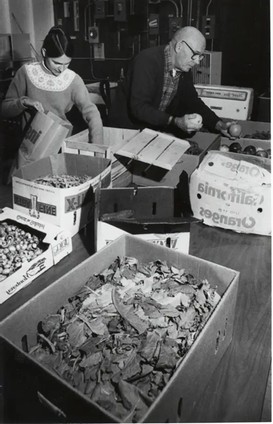 These are workers from the early days of MANNA Food Bank separating the good and bad produce in order to prep the food to be ready for food distribution. These are only a few of the workers that decided to help back then. 