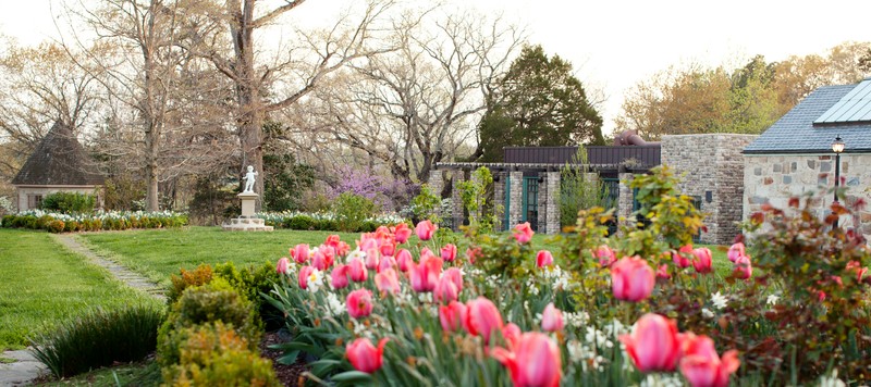 Triangular Beds, Spring