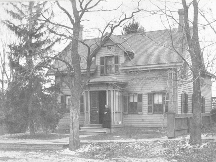 Building, Plant, Window, House