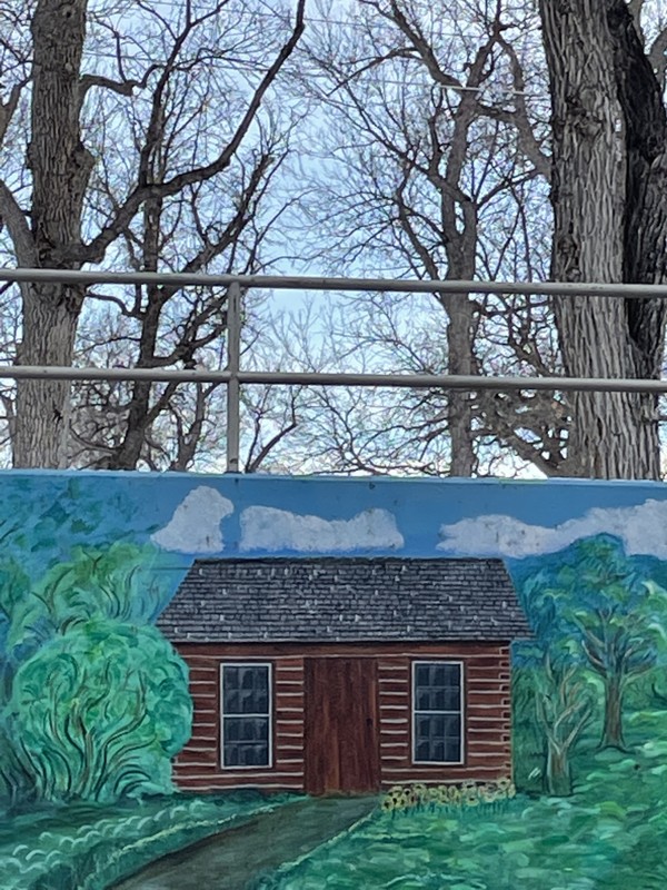 Window, Building, Plant, Wood