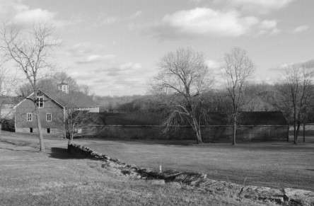 Black-and-white, House, Tree, Rural area